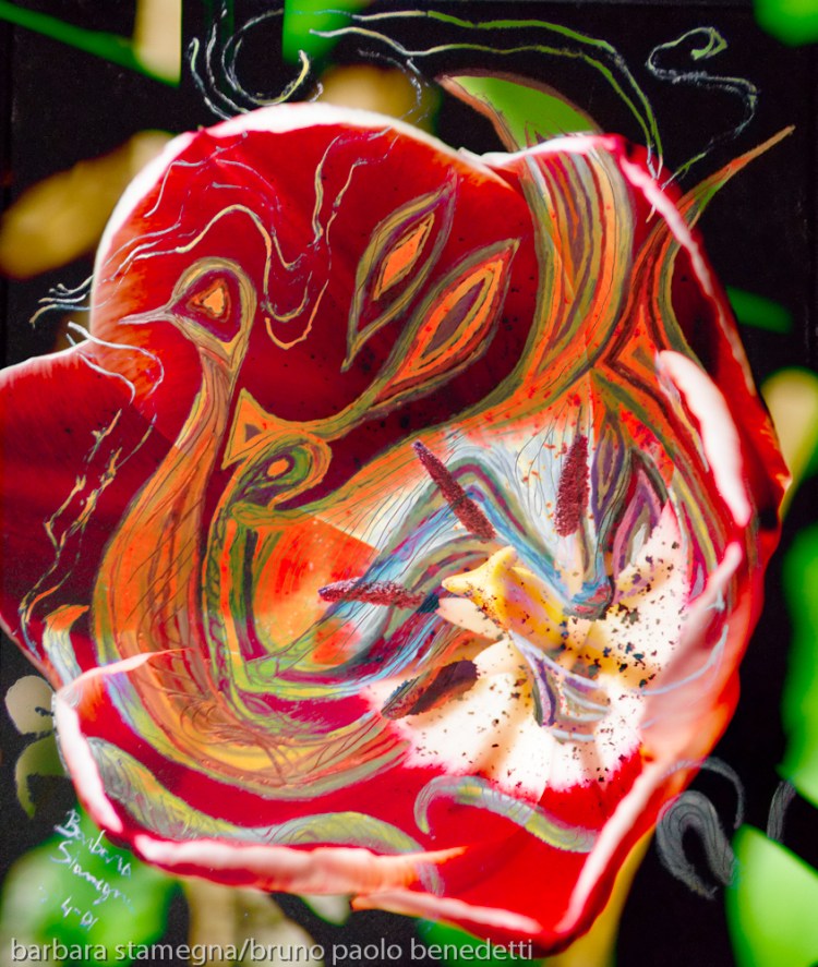 dominant red tones abstract art image with central warm colors shape on dark green dappled background